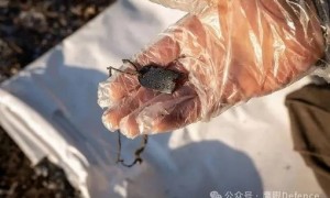沉重而伟大的工作！寻找俄乌两军遗体，令人敬佩的乌克兰志愿者们