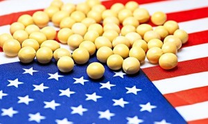 中国与阿根廷达成协议，短短两天内采购了130万吨，这正是给特朗普的答案！