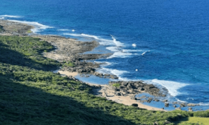 美媒曝中方正施压特朗普，要求美国改变涉台立场，外交部回应，特朗普没有选择的余地