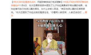 向太谈向佐赌债乌龙：何超琼曾亲自打电话道歉