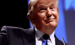 欧盟估计都懵了，两俄军队演练西部作战，特朗普突然做出惊人之举