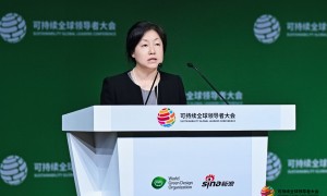 全文|证监会毕晓颖：按照“积极借鉴、以我为主、兼收并蓄、彰显特色”原则 坚定不移逐步完善可持续披露制度