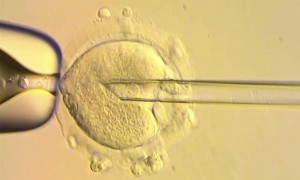 一个爸爸两个妈！英国诞生8名“三亲婴儿”