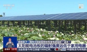 真相来了丨网传太阳能板释放有害电磁辐射？谣言！