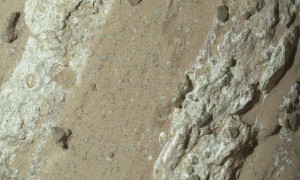 NASA毅力号探测器惊人发现：火星或许曾存在远古生命